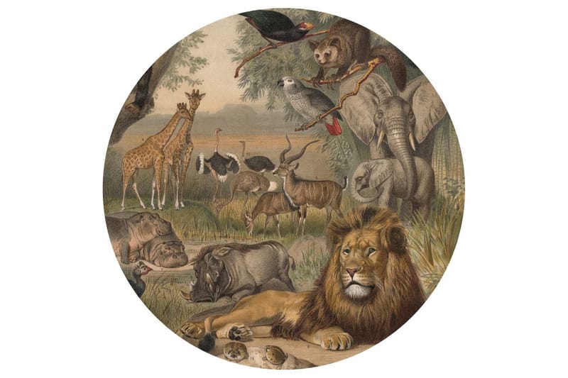 WallArt Tapetsirkel Animals of Africa 142,5 cm - Flerfarget - Fototapeter