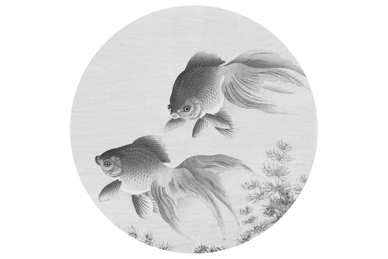 WallArt Tapetsirkel Two Goldfish 142,5 cm - Grå - Fototapeter