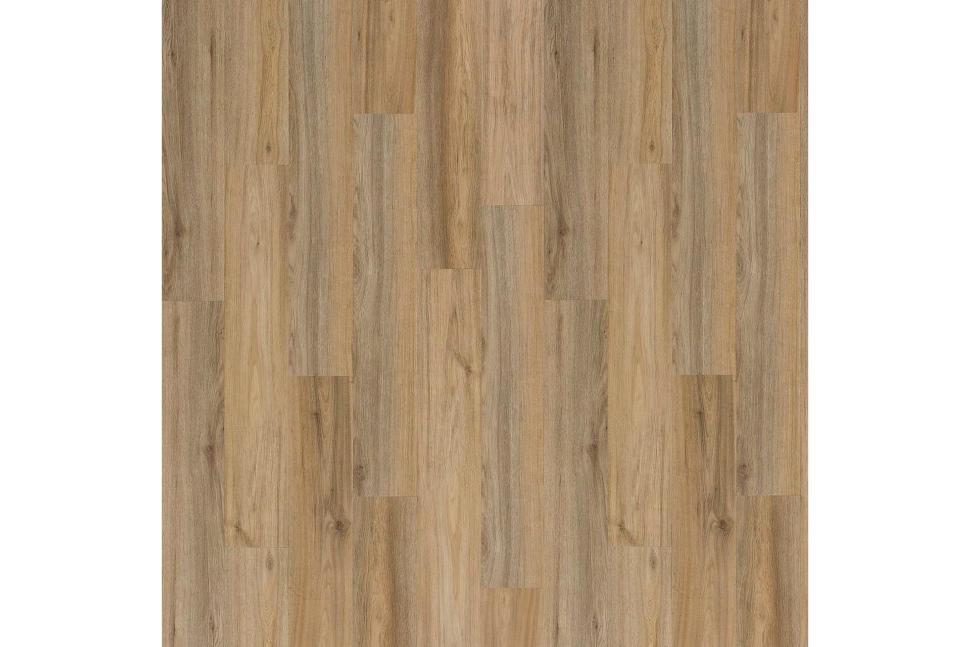 WallArt Treplanker GL-WA27 30 stk gjenvunnet eik lattebrun - Brun - Innredning - Veggdekorasjon