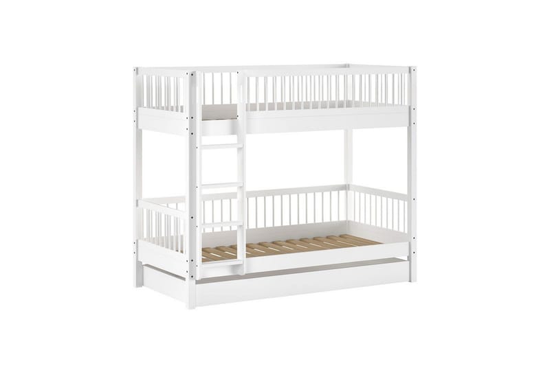 Køyeseng med skuff Forrest Bøk, Bøk