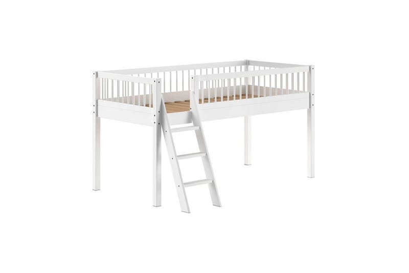 Middelseng Forrest Bøk, Bøk