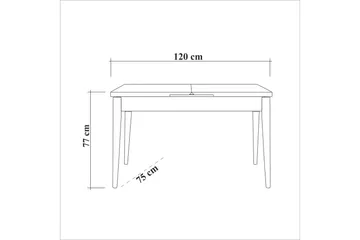 Oliver Spisebord 120x75 cm Svart - Hanah Home - Møbler - Bord - Spisebord & kjøkkenbord