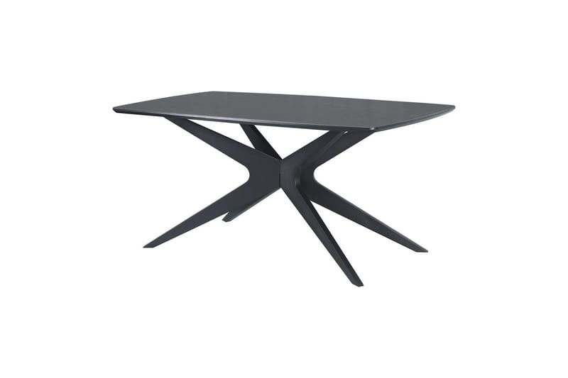 Dakona Spisebord Rektangulær 160x90 cm, Svart