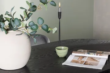 Isolde spisebord 180x90 cm med 4 Lilja spisestoler - Møbler - Bord - Spisegrupper