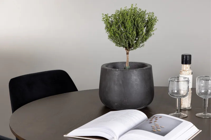 Kaseidon Spisegruppe 100 cm Rund med 4 Night Stoler - Sort - Møbler - Bord - Spisegrupper