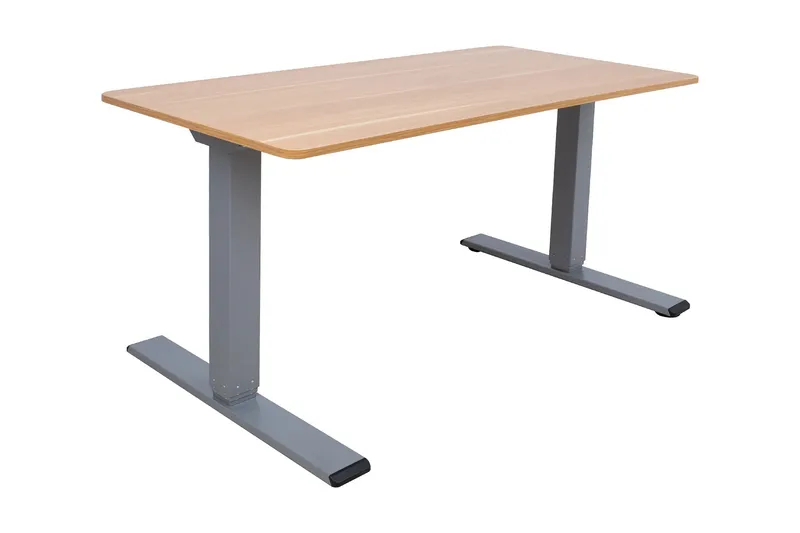 Ergo Optimal Skrivebord med 2 motor 160x80 cm Tre/Grå, undefined