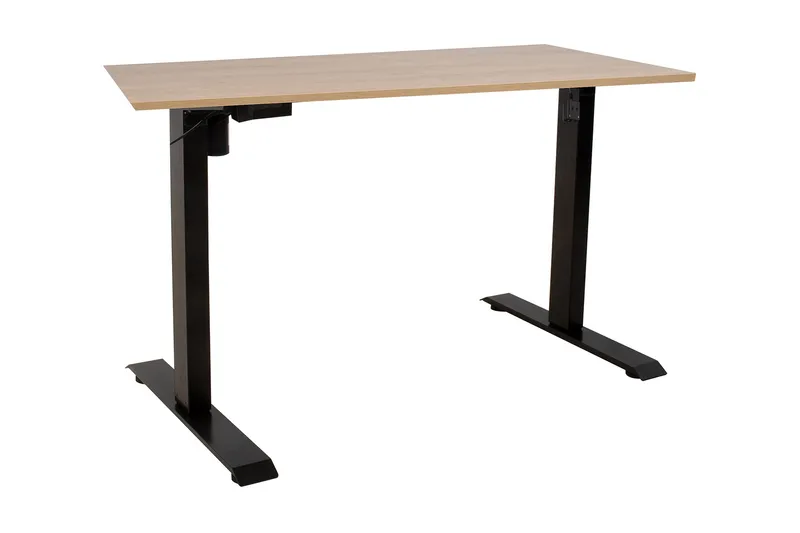 Ergo Skrivebord med en motor 160x80 cm Svart, undefined