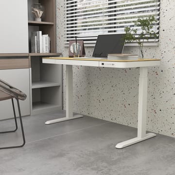 Skrivebord HOME4YOU Ergo med 1 motor 120x60x72-121 cm eik/hvit - eik/hvit - Møbler - Bord - Kontorbord - Skrivebord - Hev og senkbart skrivebord