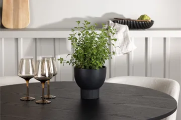 Olivia Spisegruppe 110 cm Rund med 4 Edina Stoler - Svart - Møbler - Bord - Spisegrupper