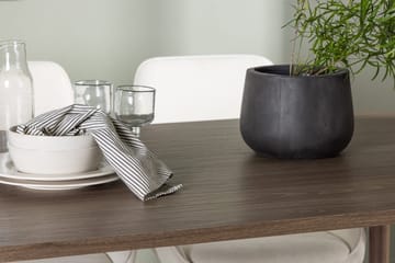 Oval matgrupp Venture Home Beige Natur 4st - Møbler - Bord - Spisegrupper