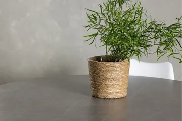 Piazza Spisegruppe 120 cm Rund med 4 Zeno Stoler - Grå - Møbler - Bord - Spisegrupper