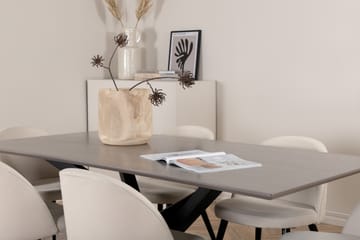 Piazza Spisegruppe 180 cm Rektangulær med 6 Velvet Stoler - Beige - Møbler - Bord - Spisegrupper