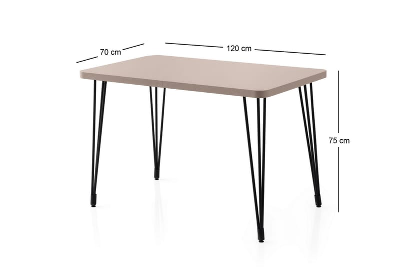 Ramila Spisebord 120 cm Rektangulært - Brun - Møbler - Bord - Spisebord & kjøkkenbord