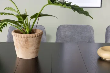 Rektangulär matgrupp Venture Home Grå Svart 6st - Møbler - Bord - Spisegrupper