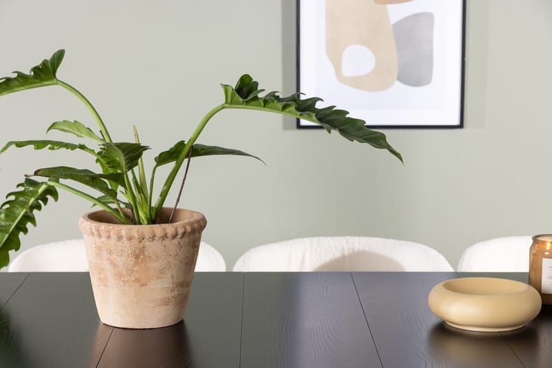 Rektangulär matgrupp Venture Home Vit Svart 6st - Møbler - Bord - Spisegrupper