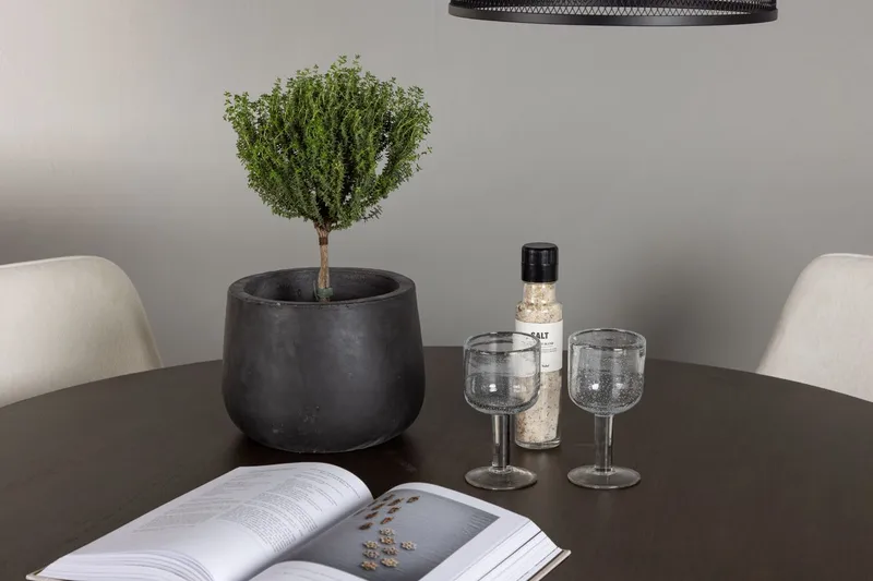 Rund matgrupp Venture Home Beige Mörkbrun 4st - Møbler - Bord - Spisegrupper