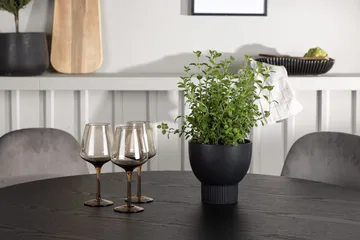 Rund matgrupp Venture Home Ljusgrå Svart 4st - Lysegrå og svart - Møbler - Bord - Spisegrupper