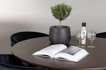Rund matgrupp Venture Home Svart Mörkbrun 4st - Mørkebrun - Møbler - Bord - Spisegrupper