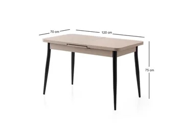 Saidie Spisebord 120 cm Rektangulær - Brun - Møbler - Bord - Spisebord & kjøkkenbord