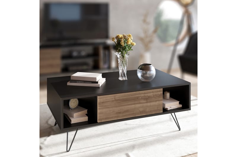 Frascone Sofabord 120 cm med Oppbevaring Hylle+Lucka - Svart/Valnøttsbrun - Møbler - Bord - Sofabord