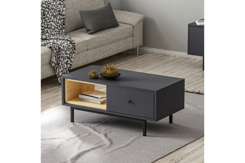 Papias Sofabord 90 cm med Oppbevaring Hylle + Lucka - Antracit/Svart - Møbler - Bord - Sofabord