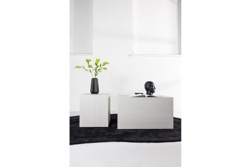 Sofabordsett York 2 stk 60x80 cm/40x40 cm Hvit - Hvit - Møbler - Bord - Sofabord