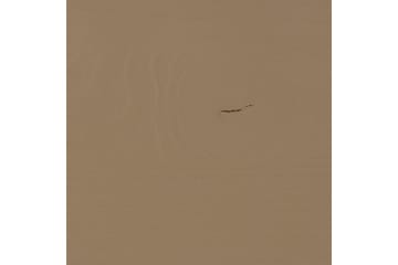 Teo Gulvstående TV-benk 180 cm med Oppbevaring i Malt Tre - Beige - Møbler - Mediamøbel & tv møbel - TV-benk & mediabenk