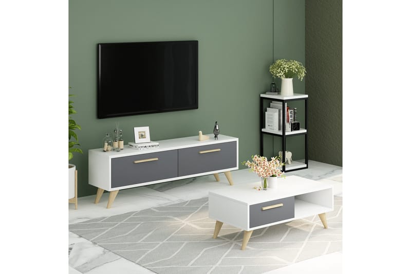 Desgrar Tv-benk 120x45 cm - Hvit - TV-benk & mediabenk