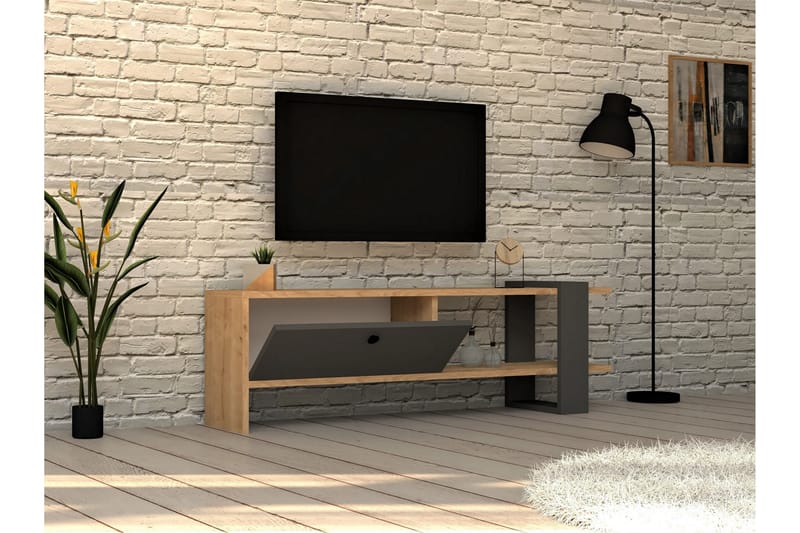 Rinorea Tv-benk 120x36,8 cm - Antrasitt - TV-benk & mediabenk