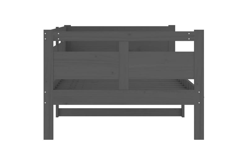 beBasic Dagseng grå heltre furu 90x200 cm - GrÃ¥ - Møbler - Sofaer - Dagsenger
