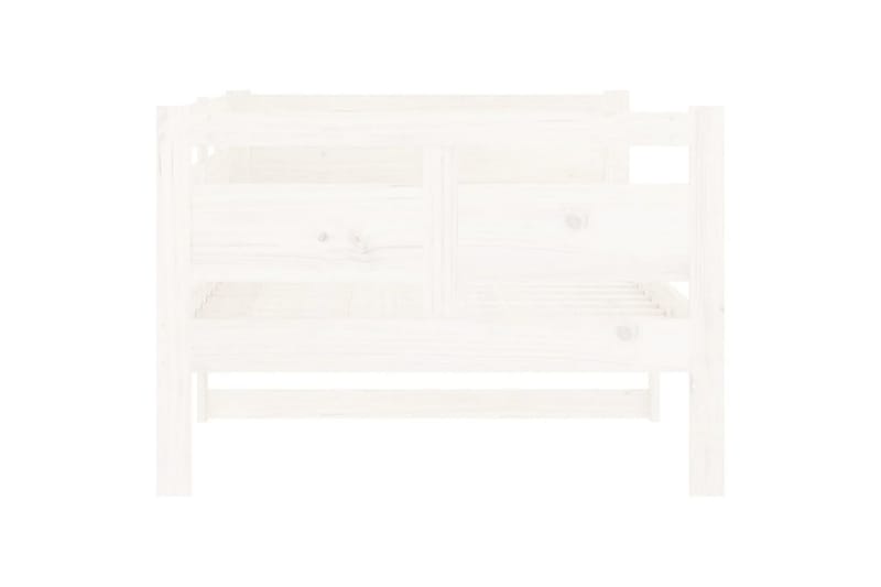 beBasic Dagseng hvit heltre furu 90x190 cm - Hvit - Møbler - Sofaer - Dagsenger