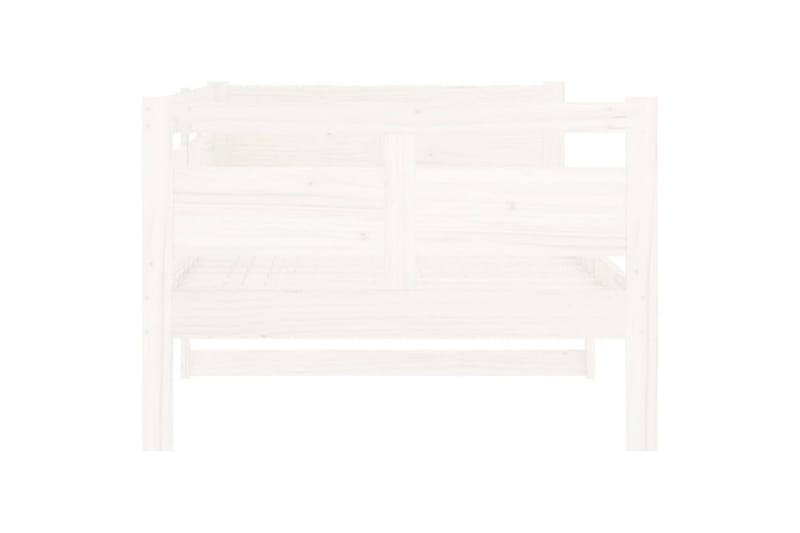 beBasic Dagseng hvit heltre furu 90x200 cm - Hvit - Møbler - Sofaer - Dagsenger