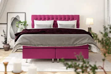 Celine Sengepakke 160x200 cm - Rosa/Fløyel - Møbler - Senger - Kontinentalsenger