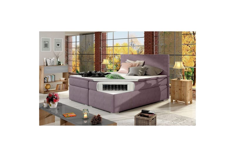 Kontinentalseng Eltap Divalo - Soro 65, Rosa, 160x200 cm - Møbler - Senger - Kontinentalsenger