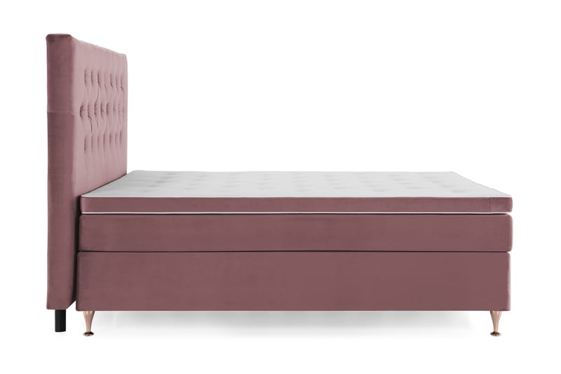 Royal Velvet Komplett Sengepakke 160x200 cm - Rosa Fløyel/Lave Rosében - Møbler - Senger - Komplett sengepakke