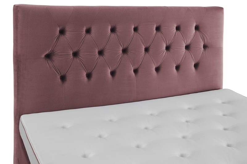 Royal Velvet Komplett Sengepakke 180x200 cm - Rosa Fløyel/Lave Rosében - Møbler - Senger - Kontinentalsenger