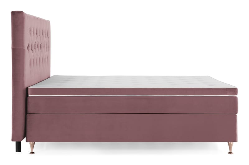 Royal Velvet Komplett Sengepakke 180x200 cm - Rosa Fløyel/Lave Rosében - Møbler - Senger - Kontinentalsenger