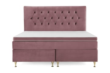 Lave gullben - Rosa