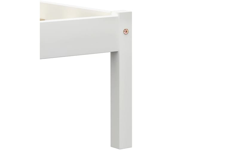 Sengeramme hvit heltre furu 100x200 cm - Hvit - Møbler - Senger - Sengeramme & sengestamme