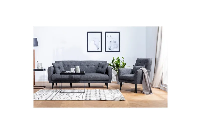 Hunterville Sofagruppe, Antrasitt