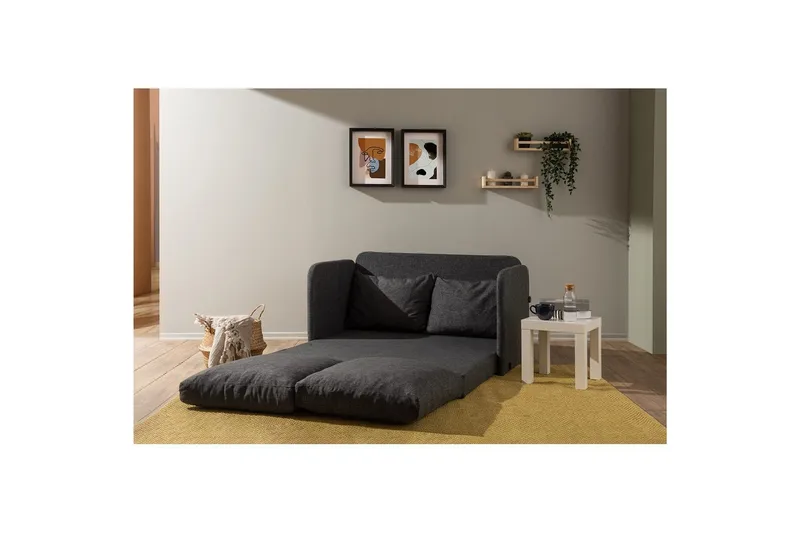 2-seters sovesofa Rubby (128 x 70 x 66 cm) Mørk grå - Mørk grå - Møbler - Sofaer - Sovesofaer