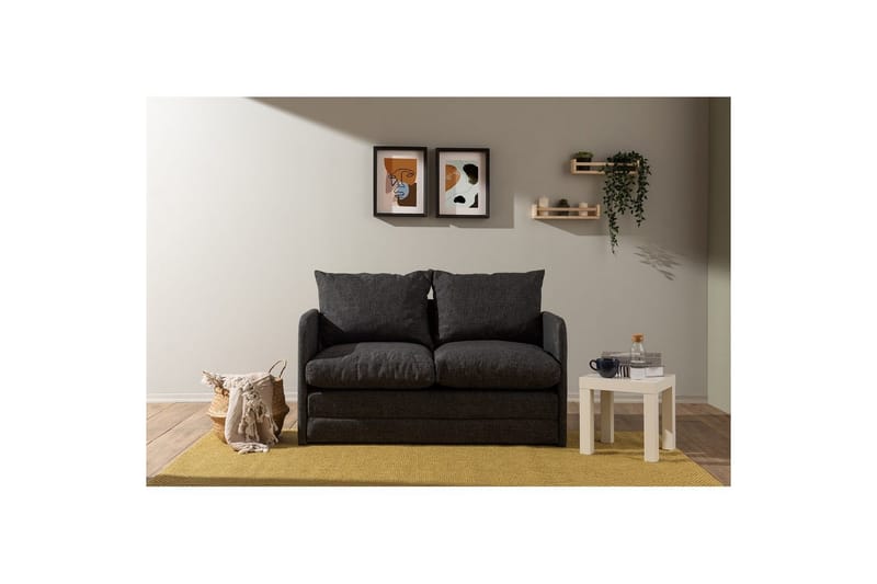 2-seters sovesofa Rubby (128 x 70 x 66 cm) Mørk grå - Mørk grå - Møbler - Sofaer - Sovesofaer