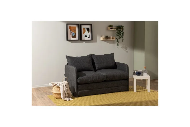 2-seters sovesofa Rubby (128 x 70 x 66 cm) Mørk grå - Mørk grå - Møbler - Sofaer - Sovesofaer