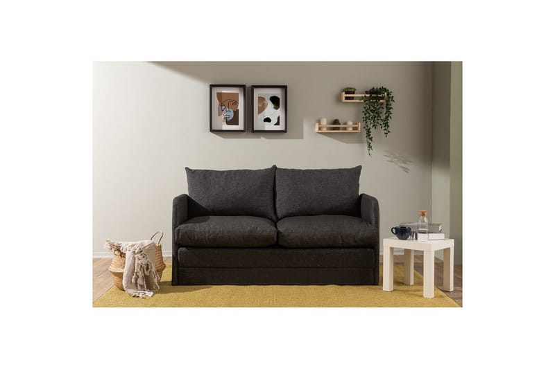2-seters sovesofa Rubby (148 x 70 x 66 cm) Mørk grå - Mørk grå - Møbler - Sofaer - Sovesofaer