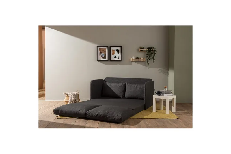 2-seters sovesofa Rubby (148 x 70 x 66 cm) Mørk grå - Mørk grå - Møbler - Sofaer - Sovesofaer
