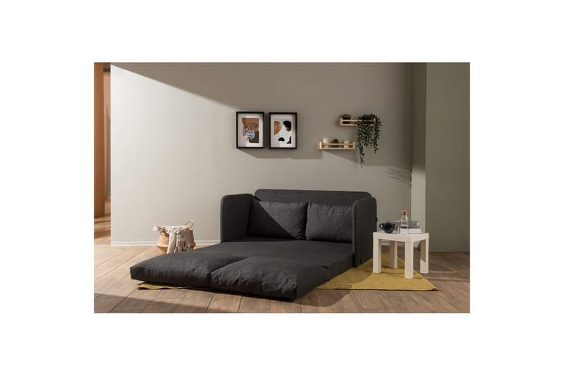 2-seters sovesofa Rubby (148 x 70 x 66 cm) Mørk grå - Mørk grå - Møbler - Sofaer - Sovesofaer