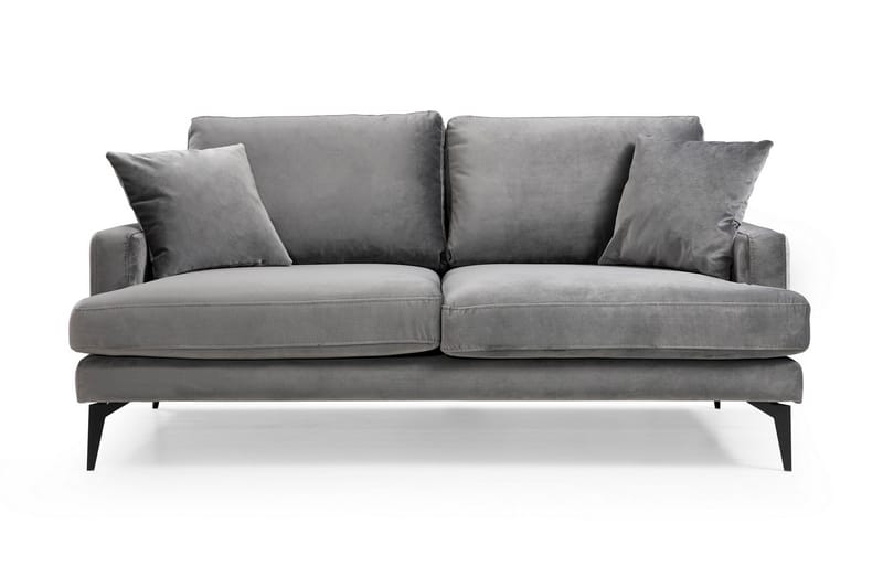 Andary 2-Seter Sofa - Grå - 2 seter sofa