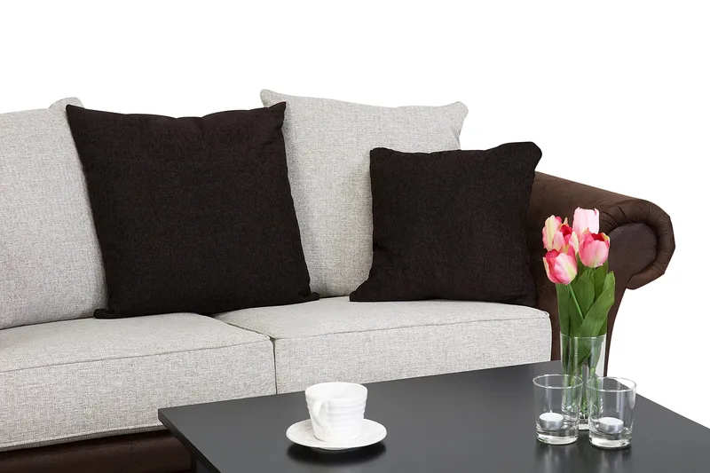 Toronto 2-seters Sofa - Brun/Beige - Møbler - Sofaer - Skinnsofaer