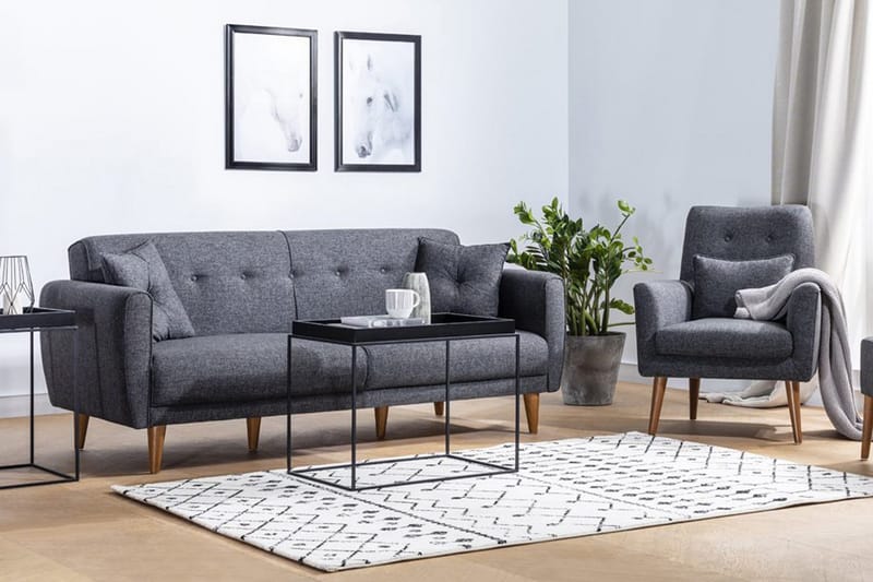 Arianda Sofagruppe, Antrasitt