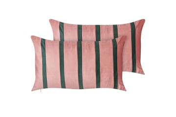 Pynteputer Crodyline sett á 2 Rosa/Grønn